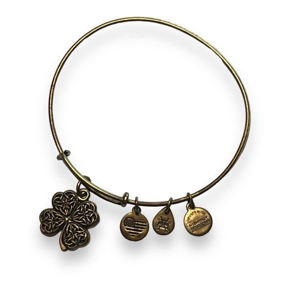 Alex and Ani Energy Womens Bangles Charm Bracelets Set of 2 Fashion Jewelry - Picture 2 of 16